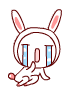 rabbit13